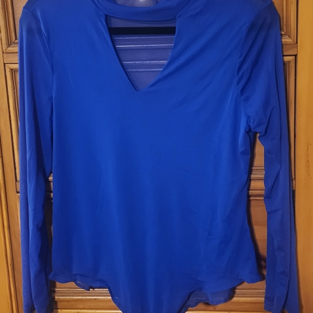 Iris Long Sleeve Sheer Blouse In Royal Blue